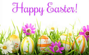 Decorated Easter eggs and daisies in grass with purple text saying Happy Easter — Happy Easter Background