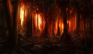 Caminho na floresta iluminado por luz laranja brilhante através de árvores altas — Imagens de Flames Papéis de Parede