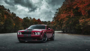 Dodge Challenger vermelho com listras pretas estacionado em uma estrada florestal no outono. — Badass Charger Hellcat Papéis de Parede
