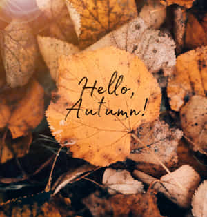Gyllene löv med texten hej höst bland fallna höstlöv. — Hello Fall Bilder