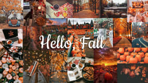 Hösttema-kollage med pumpor, löv, kaffe och natursköna stigar. — Hello Fall Bilder