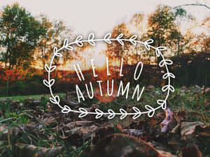 Höstlöv på gräs med en vit kransgrafik som säger hej höst mot en solnedgång. — Hello Fall Bilder