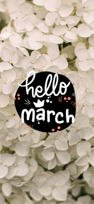 Fleurs d'hortensia blanches avec un graphique en cercle noir lisant hello march.