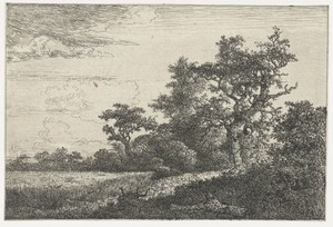 Het korenveld by Jacob Isaacksz van Ruisdael, created 1648, in paper; etching; drypoint. Download this artwork as a high-resolution wallpaper for desktop, table