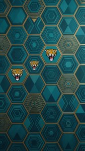Geometric hexagon pattern with Jaguars logo accents.