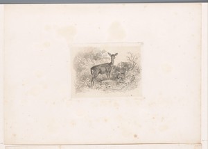 Hinde in het bos by Karl Bodmer, created 1847, in paper; chine collé; etching; roulette. Download this artwork as a high-resolution wallpaper for desktop, table — Karl Bodmer Wallpaper
