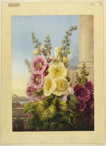 Hollyhocks by George Baxter, created 1857, in Aquatint on steel printed in brown, with block printing in colors, on wove paper, laid down on board. Download thi — Illustration Wallpaper