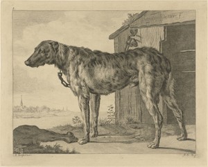 Hond by Pieter de Mare, in paper; etching; engraving. Download this artwork as a high-resolution wallpaper for desktop, tablet, or mobile. — Pieter de Mare Wallpaper