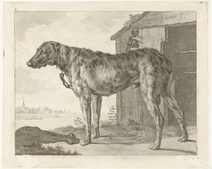 Hond by Pieter de Mare, created 1768 - 1796, in paper; etching; engraving. Download this artwork as a high-resolution wallpaper for desktop, tablet, or mobile.