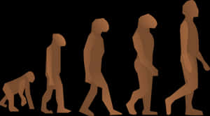 Diagrama de silhueta marrom da evolução humana do macaco ao homem moderno andando — Eevee Evolutions Human Papéis de Parede