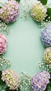 Mjuk pastellfärgad blomsterkant med hortensior och brudslöja på mintgrön.