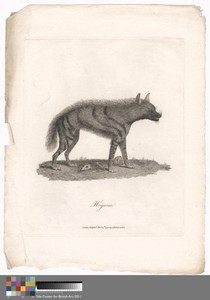 Hyoena by James Heath, in Etching and engraving on medium, moderately textured, cream laid paper. Download this artwork as a high-resolution wallpaper for deskt — James Heath Wallpaper