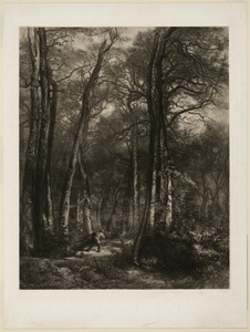 In the Forest by Karl Bodmer, created 1851, in Lithograph in black on chine, laid down on white wove paper. Download this artwork as a high-resolution wallpaper — Karl Bodmer Wallpaper