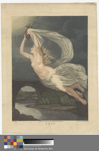 Iris by Samuel Freeman, in Colored aquatint on moderately thick, slightly textured, beige wove paper. Download this artwork as a high-resolution wallpaper for d — Samuel Freeman Wallpaper