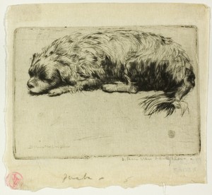 Jack by Donald Shaw MacLaughlan, created 1902, in Drypoint on cream wove paper. Download this artwork as a high-resolution wallpaper for desktop, tablet, or mob — Donald Shaw MacLaughlan Wallpaper