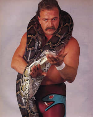 Wrestler holding a large python around his shoulders in a studio pose. — Snake Wallpaper