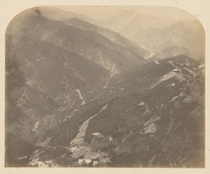 [Josephine and Pine Tree] by Carleton Watkins, created 1860. Download this artwork as a high-resolution wallpaper for desktop, tablet, or mobile. — Carleton Watkins Wallpaper