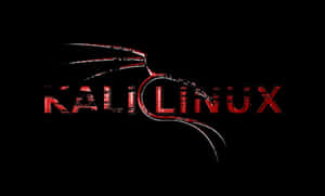 Kali Linux-logotyp med röd texturerad text och metalliska virvlar på svart bakgrund — Kali Linux bakgrund Bakgrundsbilder