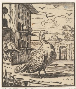 Kalkoen by Dirck de Bray, created 1660 - 1662, in paper; houtsnede. Download this artwork as a high-resolution wallpaper for desktop, tablet, or mobile. — Dirck de Bray Wallpaper