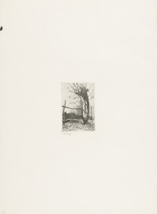 Knotwilg by Jacobus Ludovicus Cornet, created 1825 - 1882, in paper; etching. Download this artwork as a high-resolution wallpaper for desktop, tablet, or mobil — Jacobus Ludovicus Cornet Wallpaper