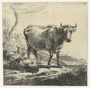 Koe by Nicolaes Pietersz Berchem, created 1644, in paper; etching. Download this artwork as a high-resolution wallpaper for desktop, tablet, or mobile. — Nicolaes Pietersz Berchem Wallpaper
