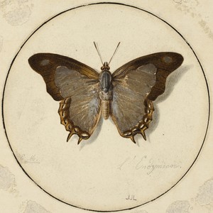 L'Endymien by Jean Louis Ernest Meissonier, created n.d., in Watercolor, with touches of white gouache, on cream wove paper, laid down on rounded shaped cream w
