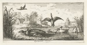 Landschap met eenden by Albert Flamen, created 1648 - 1692, in paper; etching. Download this artwork as a high-resolution wallpaper for desktop, tablet, or mobi — Albert Flamen Wallpaper