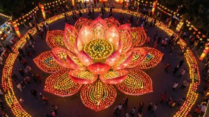 Et fugleperspektiv av lanterner arrangert i et lotusblomstmønster på bakken under en festival.