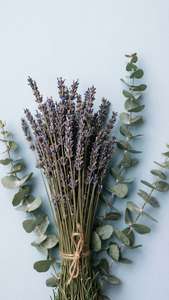 Calming dried lavender wallpaper for iPhone aesthetic.
