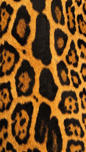 Leopardenmuster-Stoff mit schwarzen Rosetten auf goldbraunem Hintergrund. — Leopard Aesthetic Wallpaper