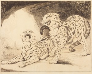 Leopards by Samuel William Reynolds I, created 1798, in etching, stipple, and roulette on wove paper [first proof]. Download this artwork as a high-resolution w — Art Picture