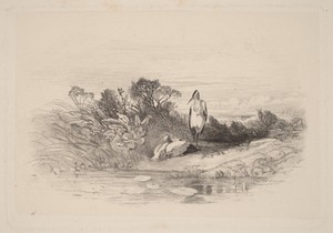 Les Deux Herons by Karl Bodmer, in etching. Download this artwork as a high-resolution wallpaper for desktop, tablet, or mobile. — Karl Bodmer Wallpaper
