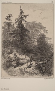 Les Faisans by Karl Bodmer, in lithograph. Download this artwork as a high-resolution wallpaper for desktop, tablet, or mobile. — Karl Bodmer Wallpaper