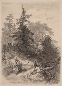 Les Faisans by Karl Bodmer, in etching. Download this artwork as a high-resolution wallpaper for desktop, tablet, or mobile. — Karl Bodmer Wallpaper