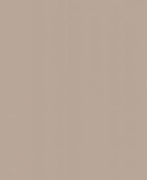 Beige Tapete mit dezent vertikaler Holzmaserung für Innenwände. — Hellbraun Wallpaper