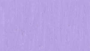 Light Purple Solid Background