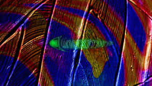Glowing green Linux text on a colorful abstract digital background. — Pastel Butterfly Picture