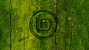 Leuchtend grünes Logo auf moosiger Holzoberfläche mit sichtbarer Maserung. — Linux Desktop Hintergrundbild