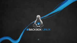 Backbox Linux-Logo mit einem Pinguin, der einen blauen Würfel mit fließenden blauen Linien auf dunklem Hintergrund hält. — Linux Desktop Hintergrundbild