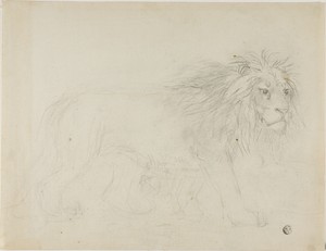 Lion by Sawrey Gilpin, created n.d., in Graphite on ivory laid paper. Download this artwork as a high-resolution wallpaper for desktop, tablet, or mobile.