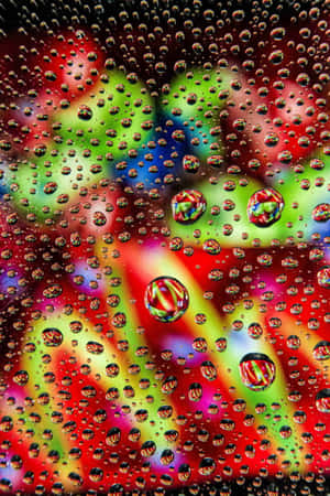 Raindrops on glass refract vibrant abstract colors into a kaleidoscopic pattern. — Liquid Wallpaper