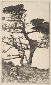 Lone Tree by Ernest Haskell, in etching. Download this artwork as a high-resolution wallpaper for desktop, tablet, or mobile. — Ernest Haskell Wallpaper