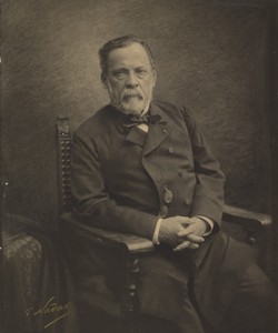 [Louis Pasteur] by Paul Nadar, created 1886. Download this artwork as a high-resolution wallpaper for desktop, tablet, or mobile. — Paul Nadar Wallpaper