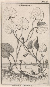 Mansoor by Caspar Luyken, created 1698, in paper; etching. Download this artwork as a high-resolution wallpaper for desktop, tablet, or mobile.
