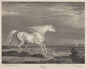 Marengo by James Ward, created 1824, in lithograph on chine applique. Download this artwork as a high-resolution wallpaper for desktop, tablet, or mobile.