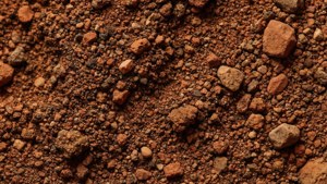 Gros plan d'un sol brun rougeâtre avec de petites roches et granules