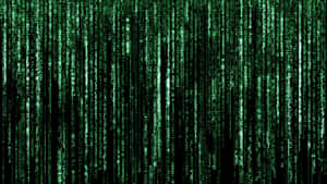 Grön digital kod faller som regn på en svart bakgrund — Matrix Bakgrundsbilder
