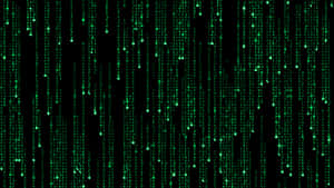 Green digital code falling like rain on a black screen. — Matrix Code Wallpaper