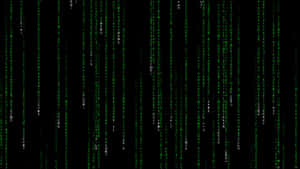 Green digital code falling down a black screen like in the Matrix movie. — Matrix Code Wallpaper