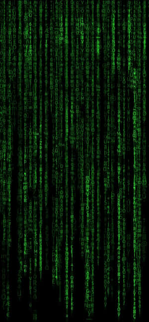 Green digital code falling like rain on a black screen. — Matrix Code Wallpaper